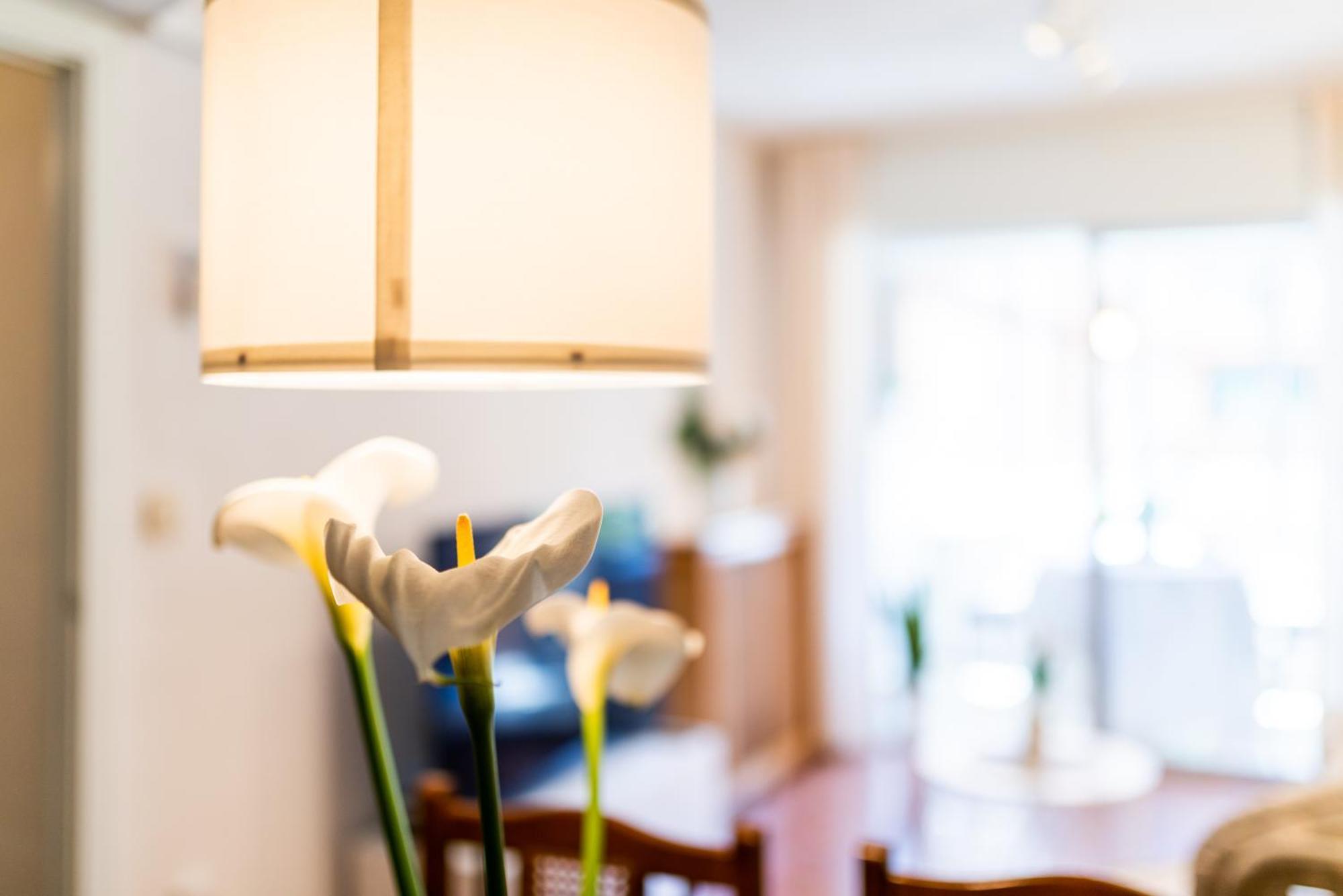 Apartamento Turismo גרנדה מראה חיצוני תמונה